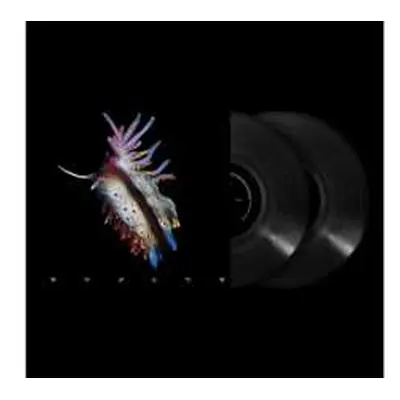 2LP Sub Focus: Evolve