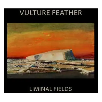 LP Vulture Feather: Liminal Fields LTD | CLR