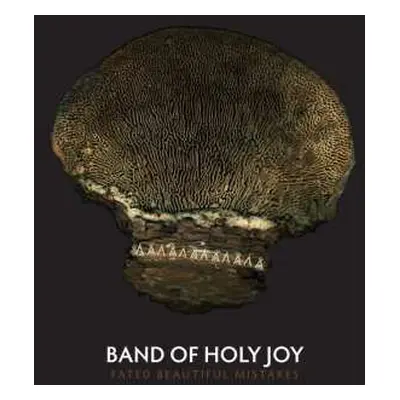 CD Band Of Holy Joy: Fated Beautiful Mistakes