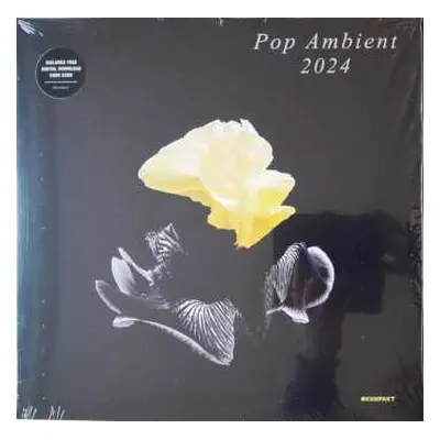 LP Various: Pop Ambient 2024