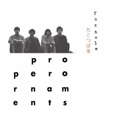 LP The Proper Ornaments: Foxhole