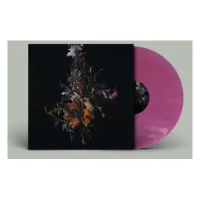 LP Big Brave: Nature Morte LTD | CLR