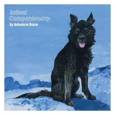 LP Advance Base: Animal Companionship CLR | LTD