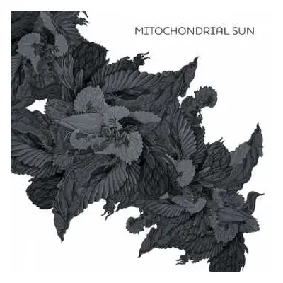 CD Mitochondrial Sun: Mitochondrial Sun