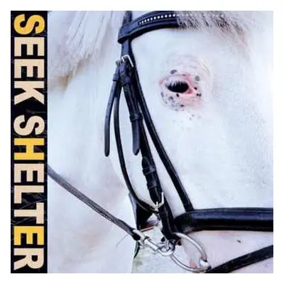 LP Iceage: Seek Shelter