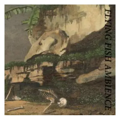 CD Rainforest Spiritual Enslavement: Flying Fish Ambience