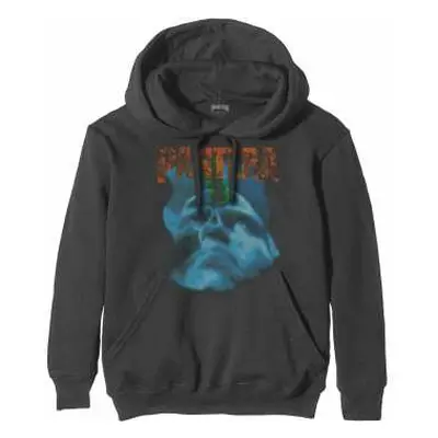 Pantera Unisex Pullover Hoodie: Far Beyond Driven World Tour (large) L