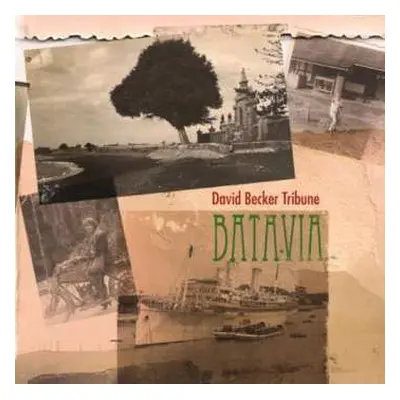 CD David Becker Tribune: Batavia