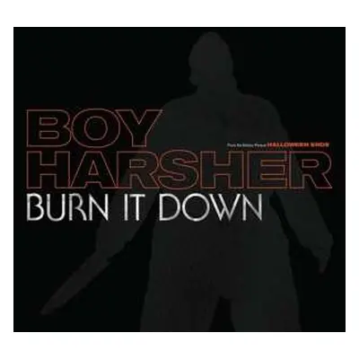 LP Boy Harsher: Burn It Down