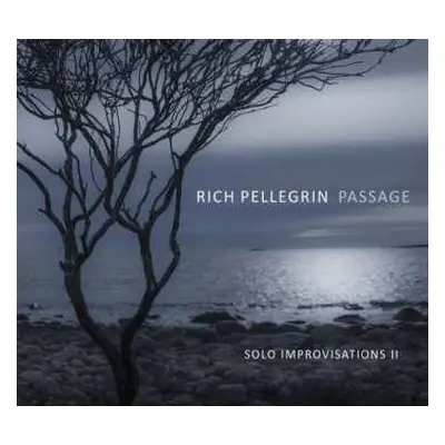 CD Rich Pellegrin: Passage: Solo Improvisations Ii