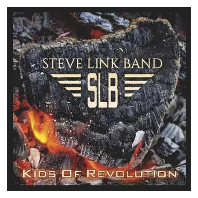 CD Steve Link Band: Kids Of Revolution