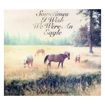 CD Bill Callahan: Sometimes I Wish We Were An Eagle