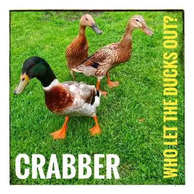 CD Crabber: Who Let The Ducks Out?