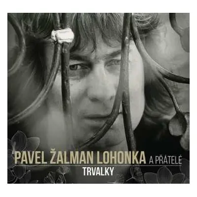 CD Zalman Pavel Lohonka: Trvalky