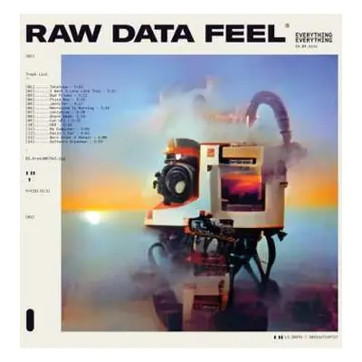 CD Everything Everything: Raw Data Feel