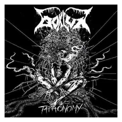 CD Bokluk: Taphonomy