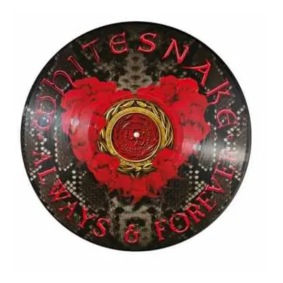 LP Whitesnake: Always & Forever LTD | PIC