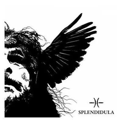 CD Splendidula: Somnus