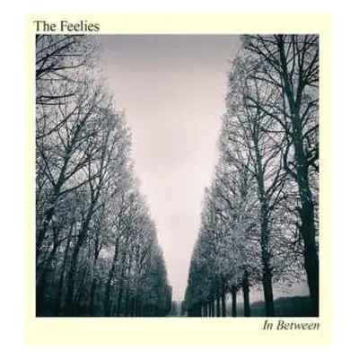 CD The Feelies: In Between