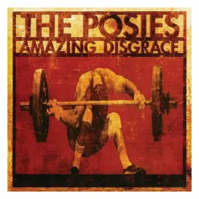 LP The Posies: Amazing Disgrace