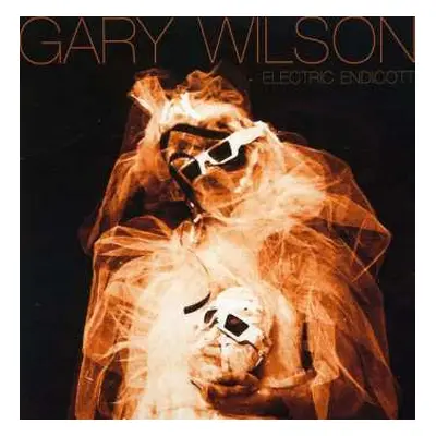 CD Gary Wilson: Electric Endicott