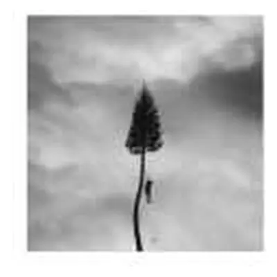 2LP Manchester Orchestra: A Black Mile To The Surface CLR