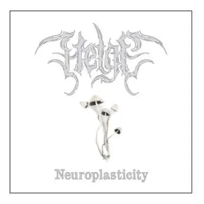 LP Helge: Neuroplasticity