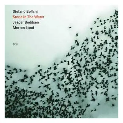 CD Stefano Bollani Trio: Stone In The Water