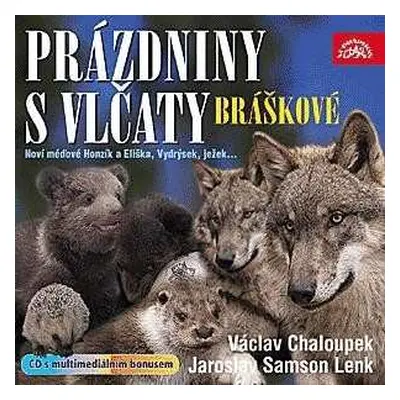 CD Chaloupek Václav: Bráškové. Prázdniny s vlčaty