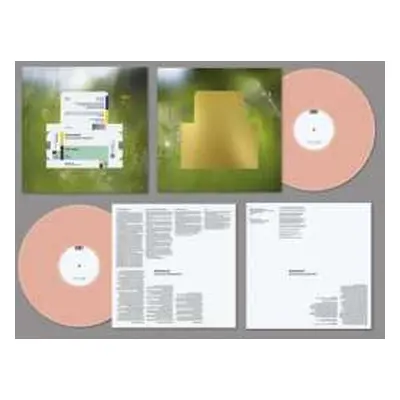 LP Spiritualized: Everything Was Beautiful™ DLX | LTD | CLR