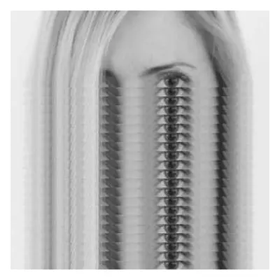 3LP Ellen Allien: Nost