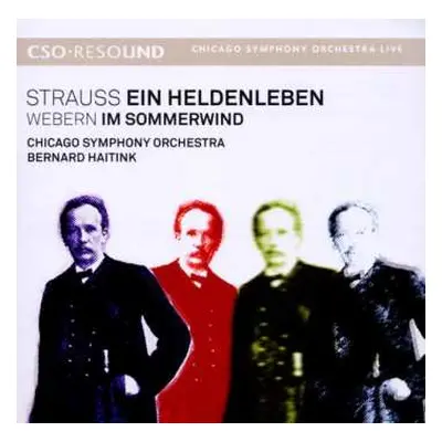 CD Richard Strauss: Ein Heldenleben; Im Sommerwind