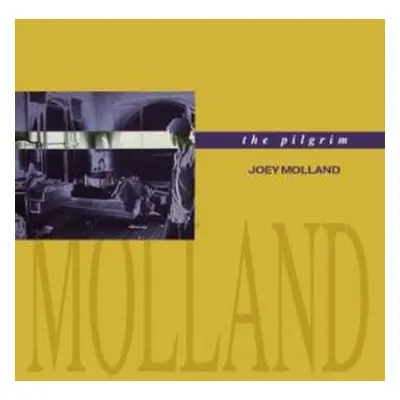 CD Joey Molland: The Pilgrim