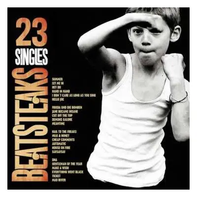 CD Beatsteaks: 23 Singles