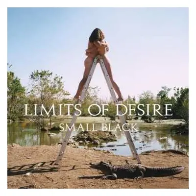 CD Small Black: Limits Of Desire