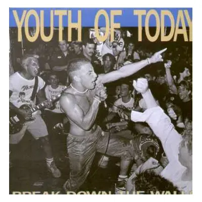 LP Youth Of Today: Break Down The Walls