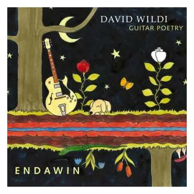 CD David Wildi Guitar Poetry: Endawin