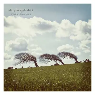 CD The Pineapple Thief: What We Have Sown DIGI