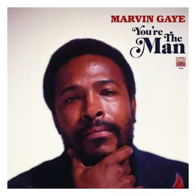 2LP Marvin Gaye: You're The Man LTD