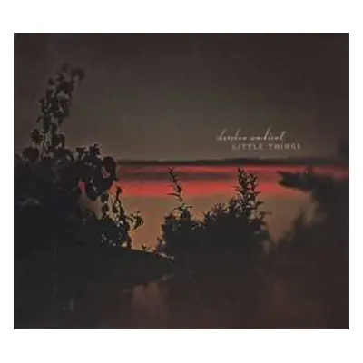 CD Darshan Ambient: Little Things