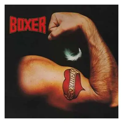 LP Boxer: Absolutely