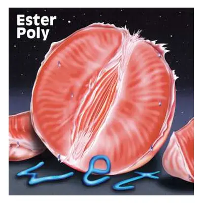 CD Ester Poly: Wet