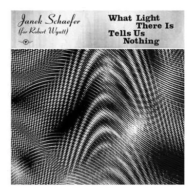 LP Janek Schaefer: What Light There Is Tells Us Nothing