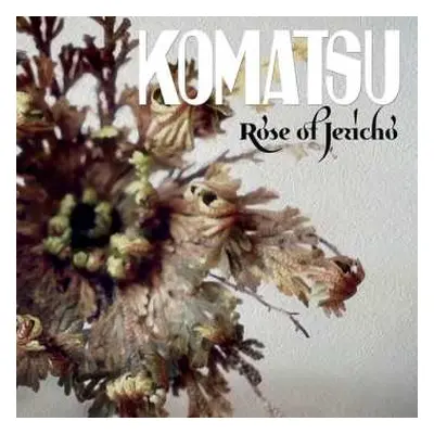 LP Komatsu: Rose Of Jericho LTD | CLR