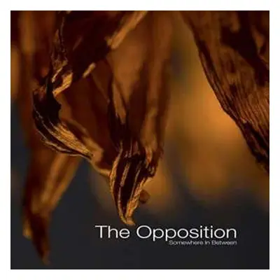 CD Opposition: Somewhere In Between