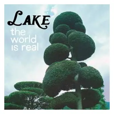 LP Lake: The World Is Real