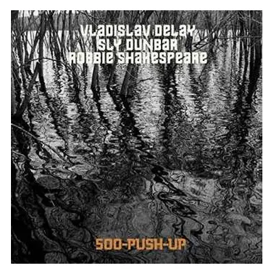 CD Vladislav Delay: 500-Push-Up