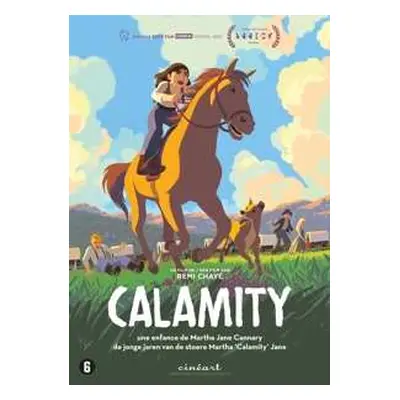 DVD Movie: Calamity