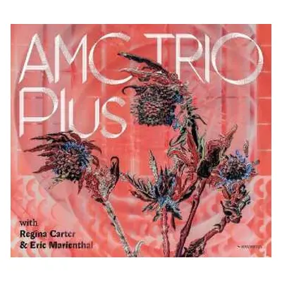 CD AMC Trio: Plus