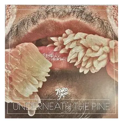 LP Toro Y Moi: Underneath The Pine LTD | CLR